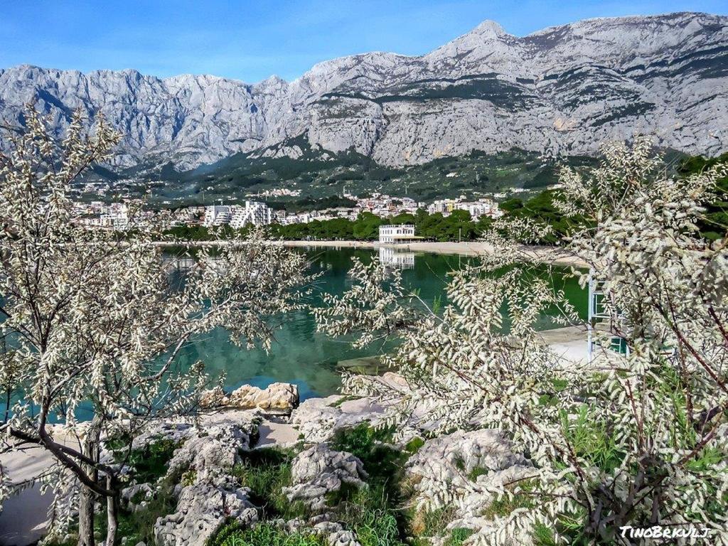 Luxury Apartments Nadalina Sea View Makarska Dış mekan fotoğraf